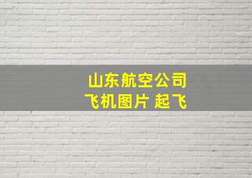 山东航空公司飞机图片 起飞